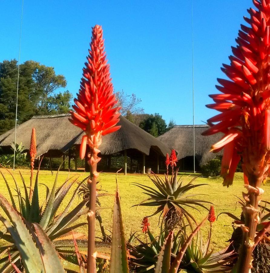 African Flair Country Lodge Piet Retief Eksteriør billede