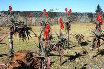 African Flair Country Lodge Piet Retief Eksteriør billede