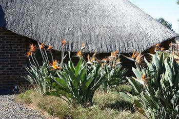 African Flair Country Lodge Piet Retief Eksteriør billede